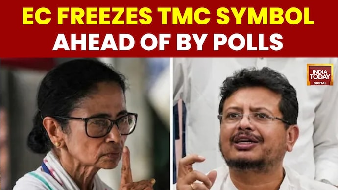 Election Commission Freezes TMC Symbol Ahead Of West Bengal By-Polls EC Freezes TMC Symbol Ahead Of Bengal By-Polls