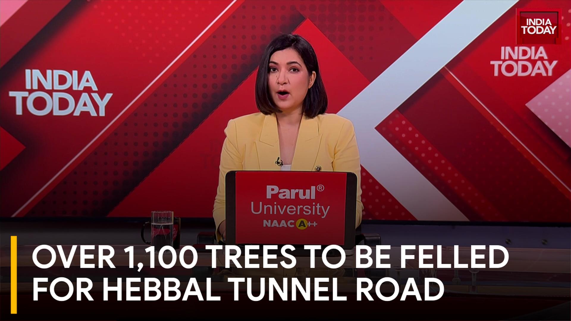 Over 1,100 Trees May Be Felled For Hebbal Tunnel Road Project In Bengaluru Over 1,100 Trees To Be Felled For Hebbal Tunnel Road