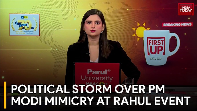 Political Storm Over PM Modi Mimicry At Rahul Event