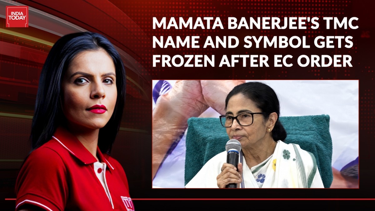 EC allots new identities to Mamata, Ritabrata camps after TMC name, symbol frozen To The Point