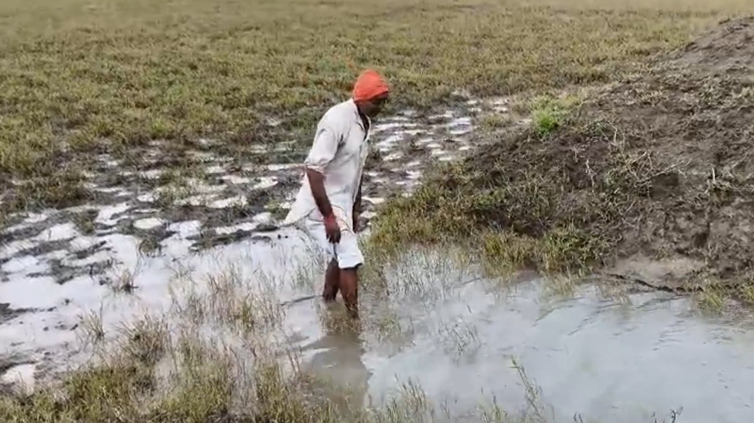 How govt irrigation schemes are changing farming in UP's water-stressed Bundelkhand UP irrigation