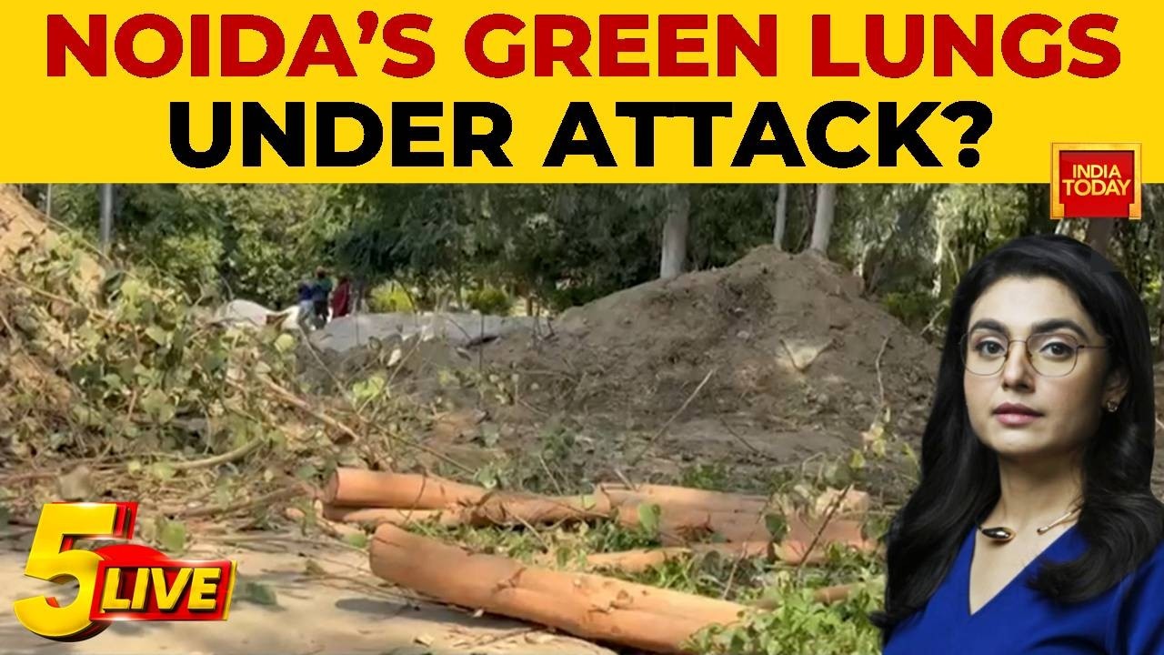 Noida Pollution Crisis: Tree Felling Row at Biodiversity Park as Deer Park Project Starts