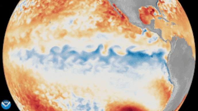 Sea surface height data from the Sentinel-6 Michael Freilich satellite reveals a band of warmer, higher water stretching along the equatorial Pacific, a classic fingerprint of El Nino. (GIF: NOAA)