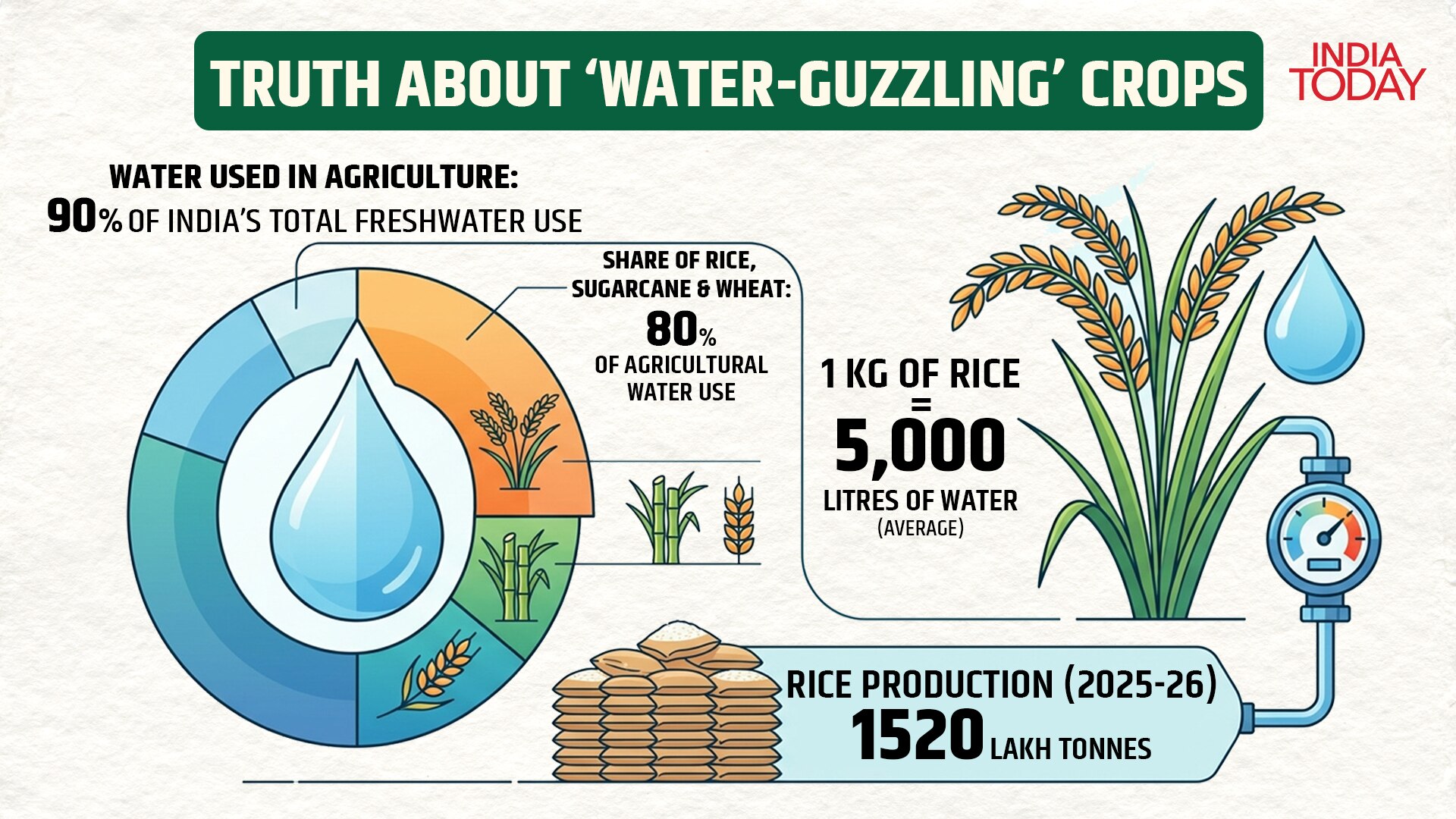 An infographic about rice's water consumption.