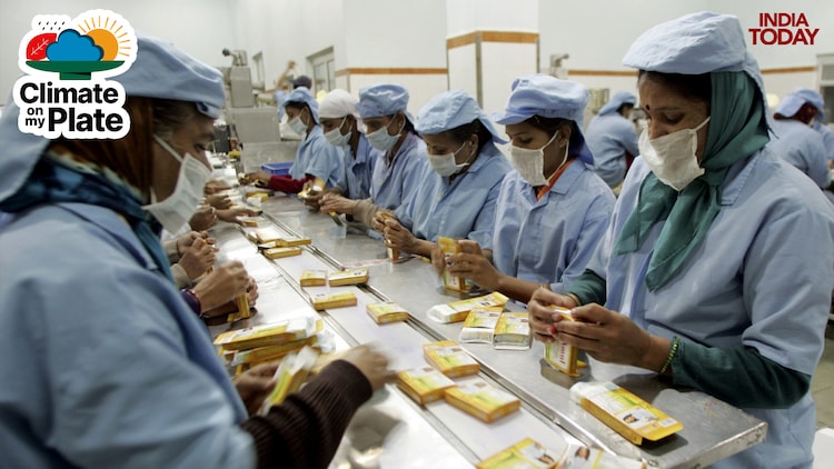 Dairy employees work inside the Dudhsagar milk dairy in Mehsana town near Ahmedabad. (Photo: Reuters)