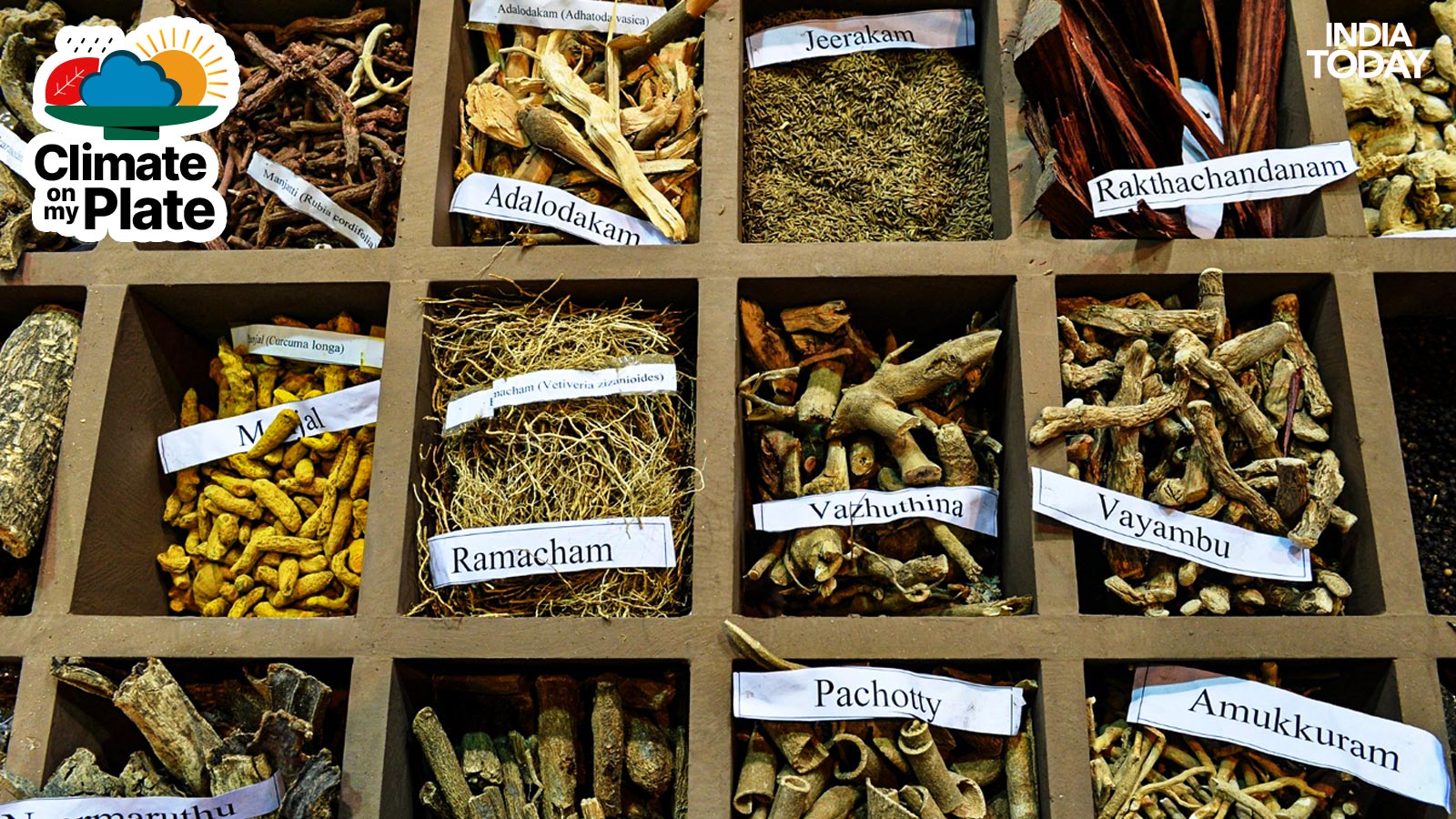 A number of medicinal herbs and plants are put on display along with labels at an event. (Photo: Getty)