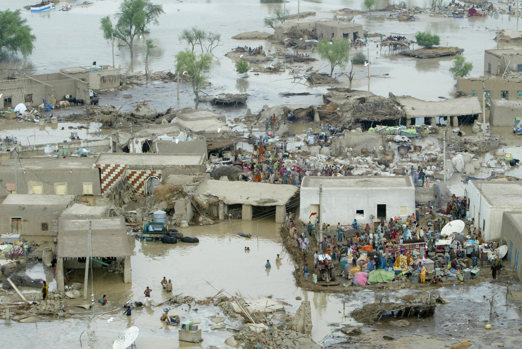 Villagers cry for help after tropical storm and torrential rains in Balochistan in 2024. (Photo: Reuters)