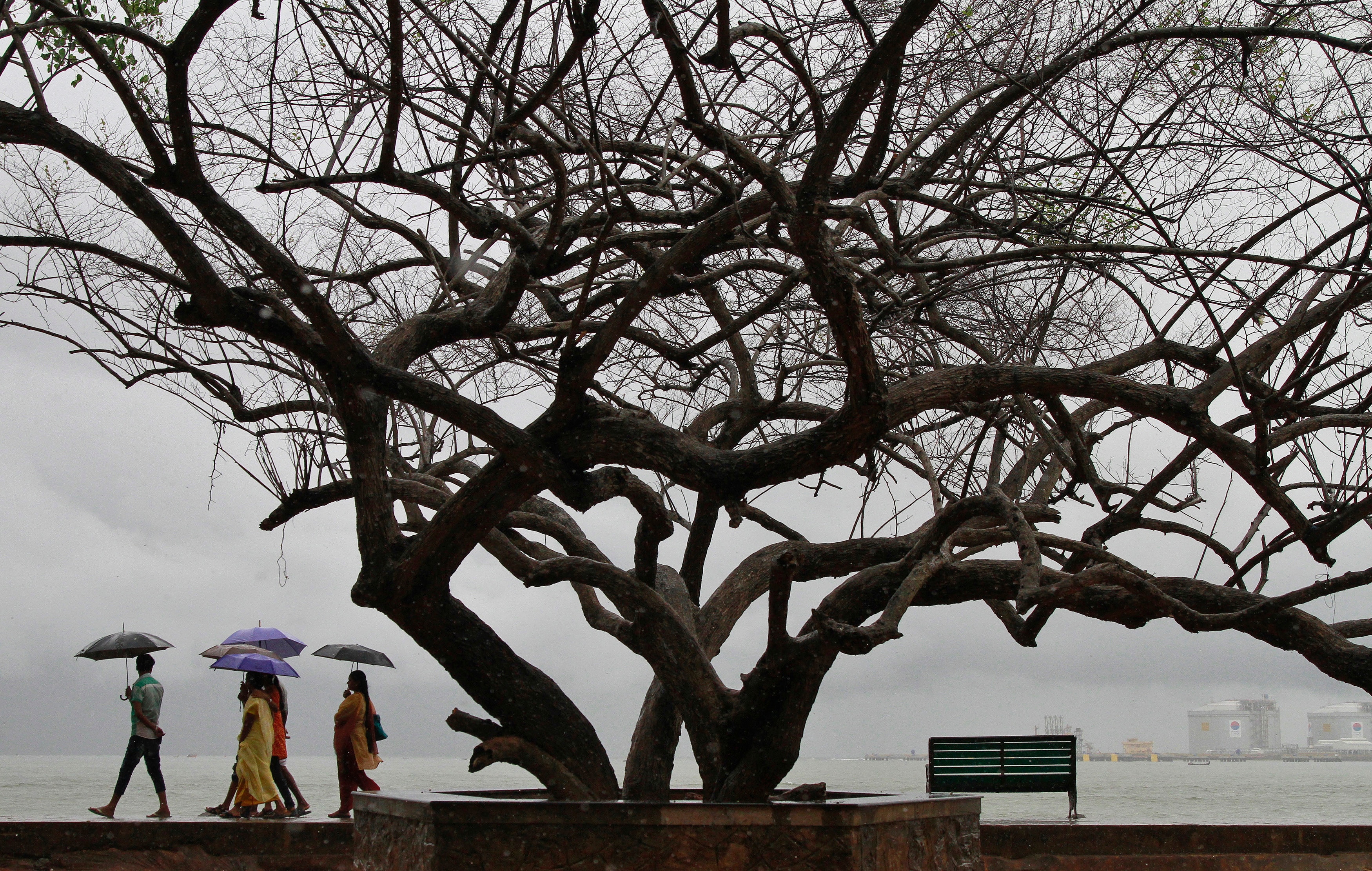 People stroll along the Fort Kochi beach while holding umbrellas during a rain shower. (Photo: Reuters)