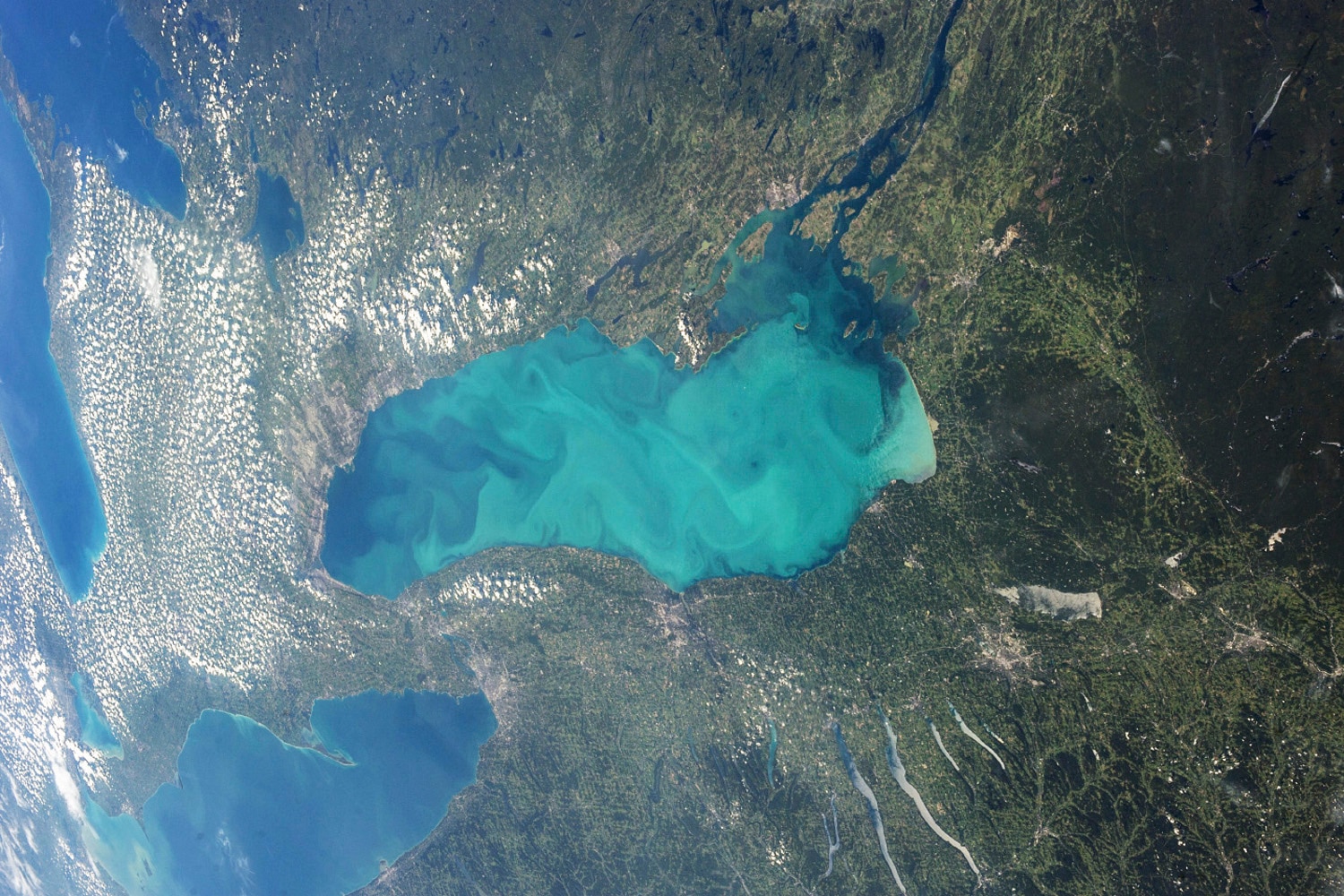 Late summer plankton blooms across much of Lake Ontario. (Photo: Reuters)