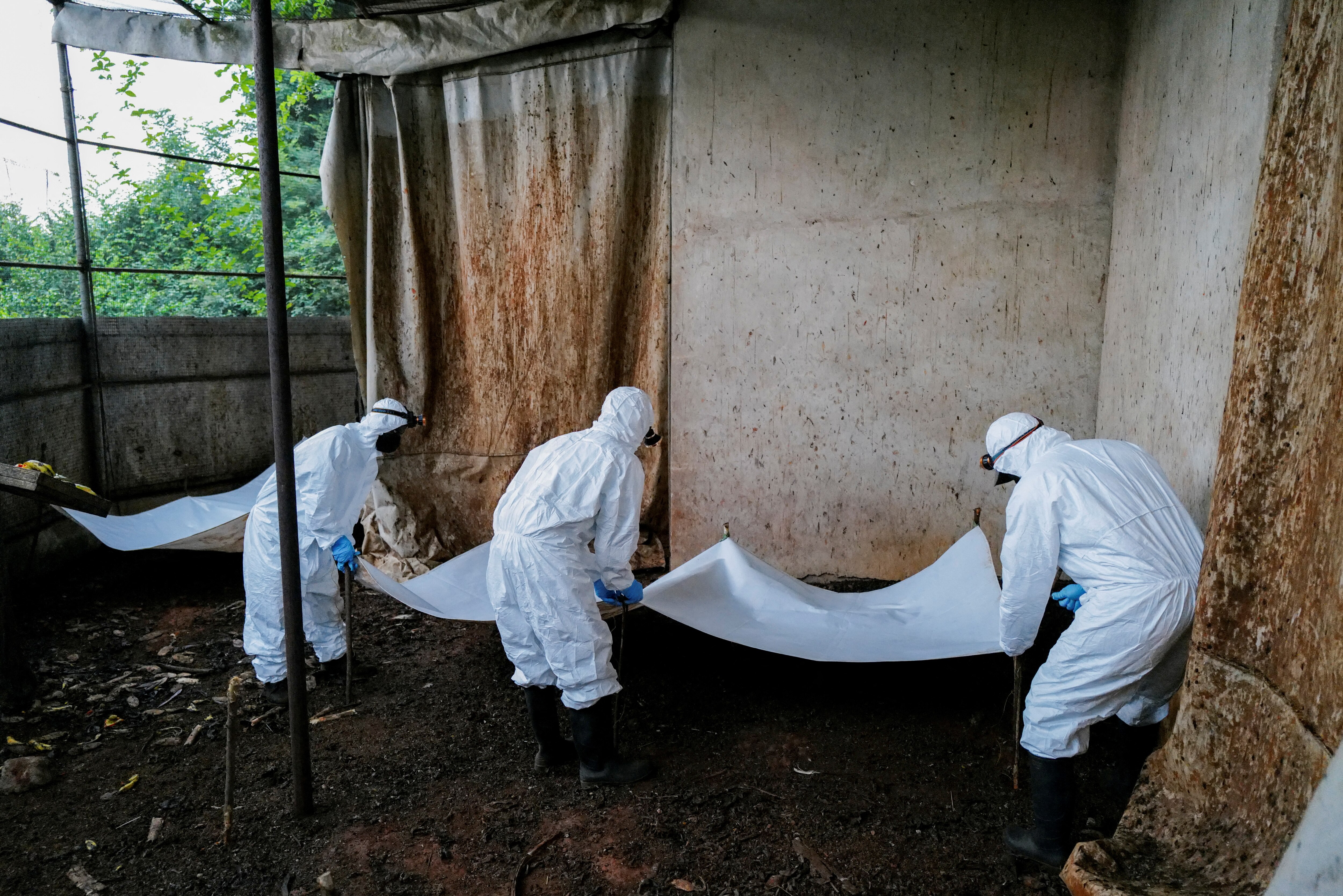 A research team investigating emerging zoonotic diseases make preparations to collect samples. (Photo: Reuters)