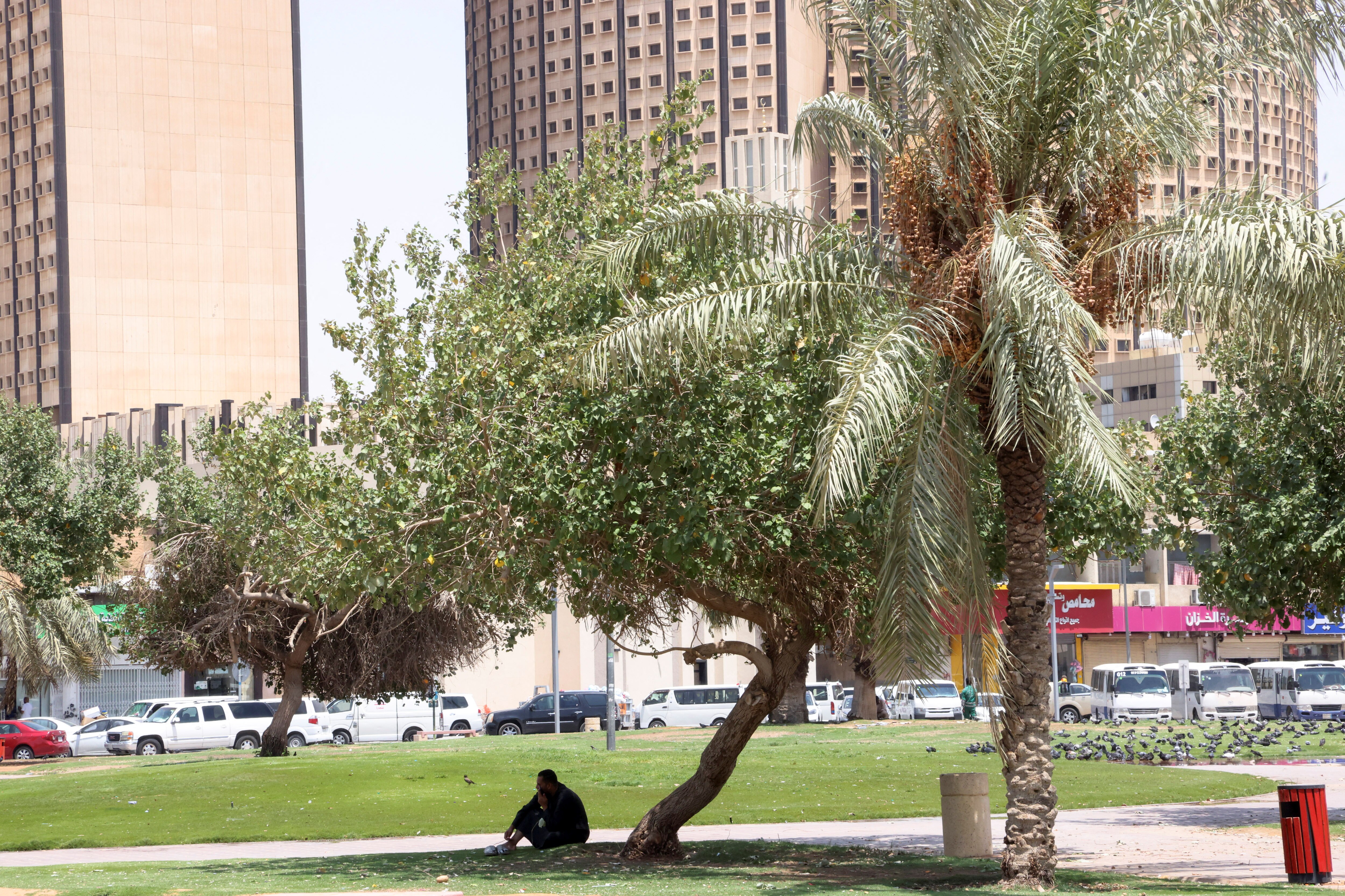 A man takes rest under a tree to escape the summer heat in Riyadh, Saudi Arabia. (Photo: Reuters)