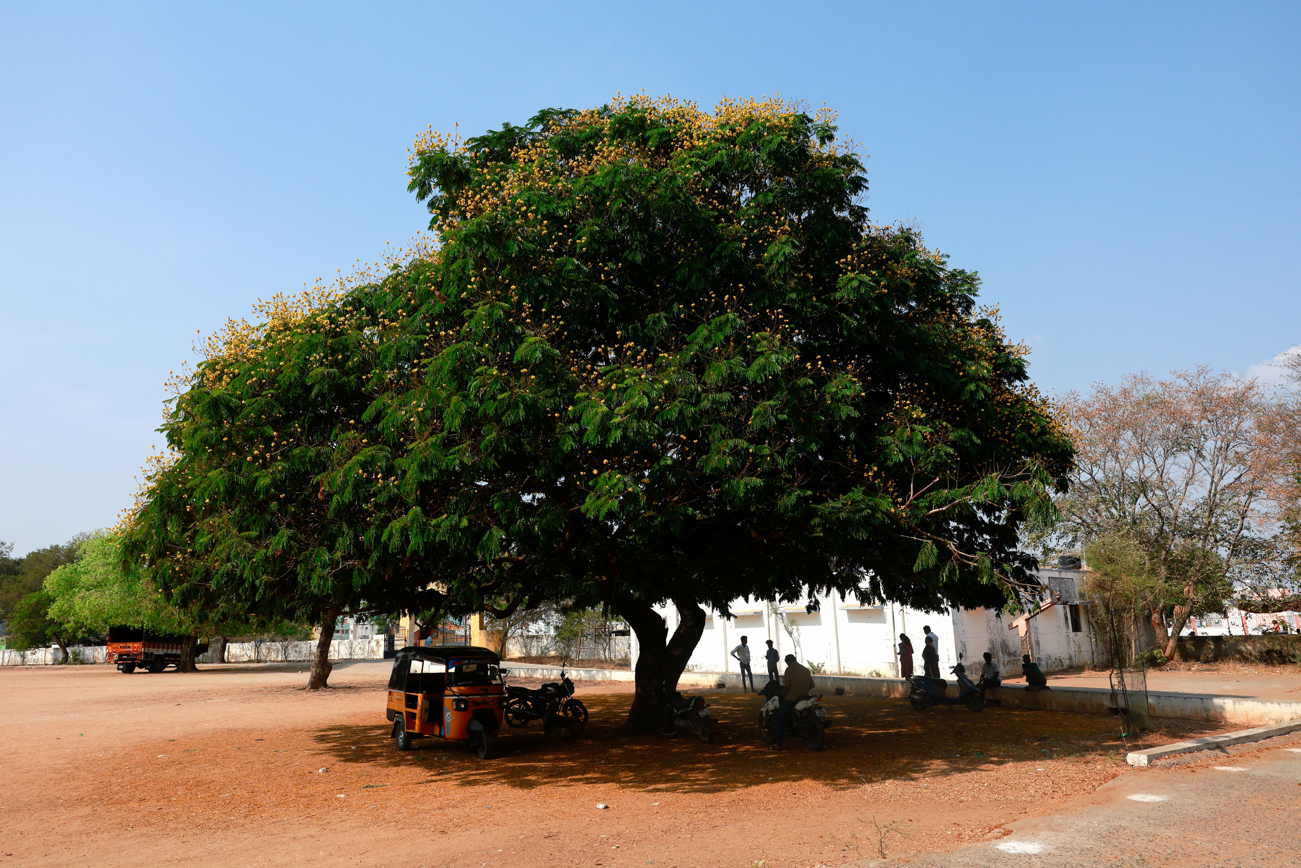 People rest under a tree to avoid heat, outside a polling station during the 2024 general election. (Photo: Reuters)