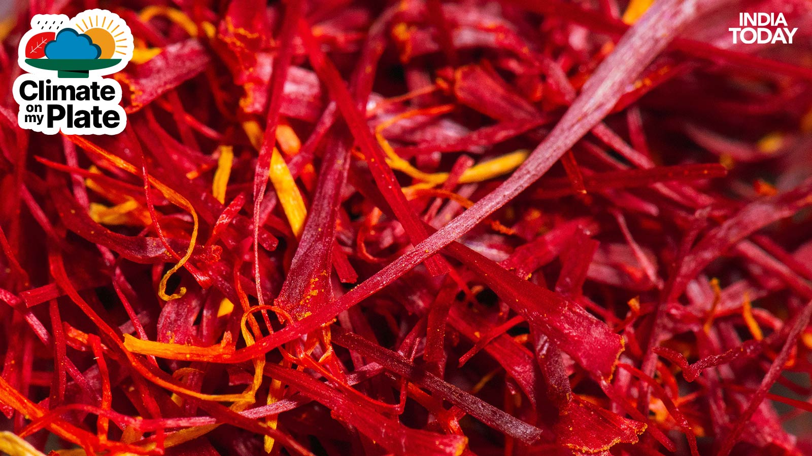A close up image of saffron strands on showcase at a spice shop. (Photo: Getty)