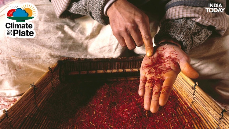 A Kashmiri vendor showcases strands of saffron at his shop. (Photo: Getty)