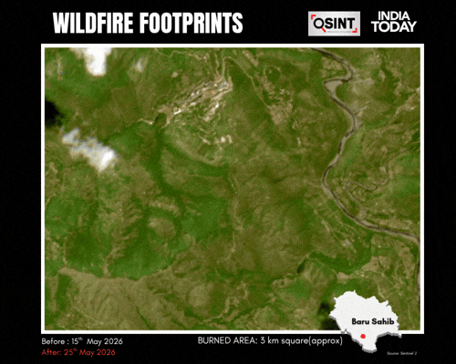 Forest Fire