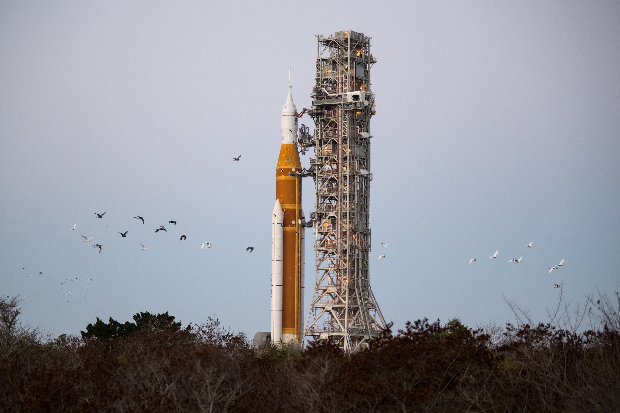 Birds fly as the Artemis-II spacecraft and ricket stand tall in the background. (Photo: Nasa)