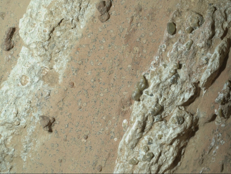 Spots on a reddish rock nicknamed âCheyava Fallsâ in Marsâ Jezero Crater discovered by Perseverance rover. (Photo: Nasa)