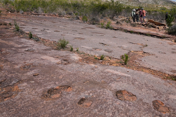 Petrified footprints of dinosaurs are seen at a national park in Bolivia. (Photo: AP)