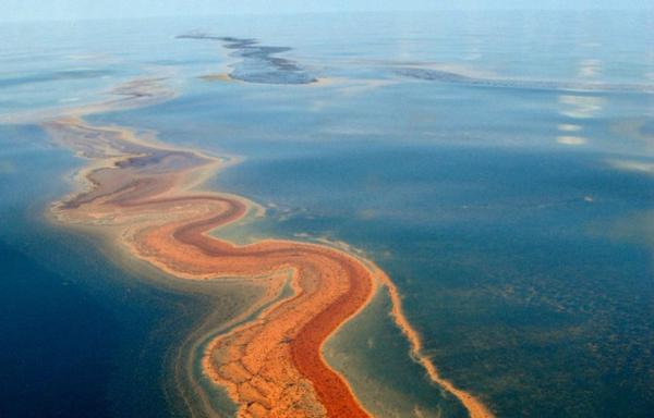 An image shows the Deepwater Horizon oil spill. (Photo: X/@Nature)