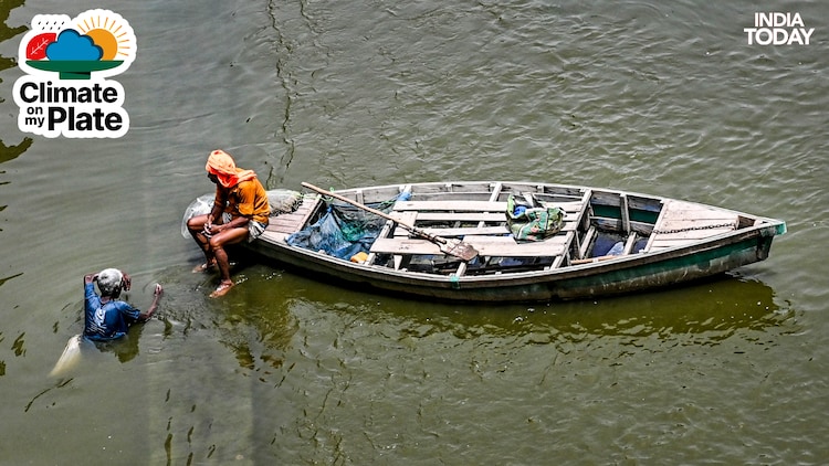 Fishermen are seen fishing in the Arabian Sea. (Photo: PTI)
