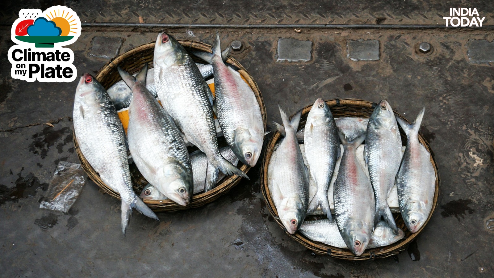 Hilsa fish are displayed at a local fish market. (Photo: PTI)