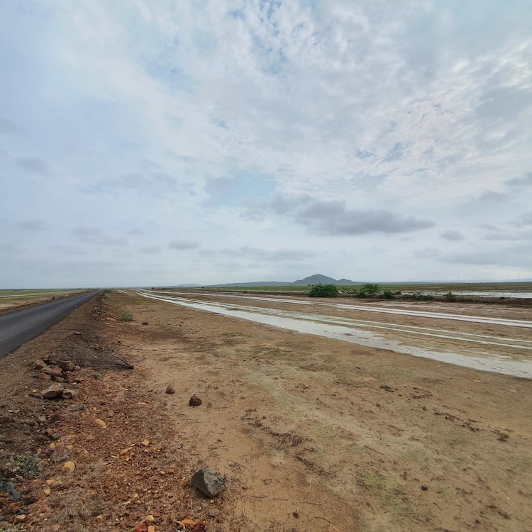 An image captured at the Banni grassland, Kutch, Gujarat. (Photo: X/@@samyak4real)