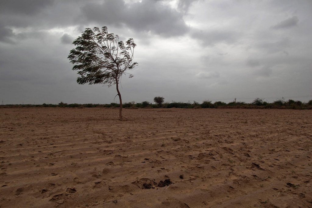 A dought affected land is seen in Ahmedabad, Gujarat. (Photo: PTI)