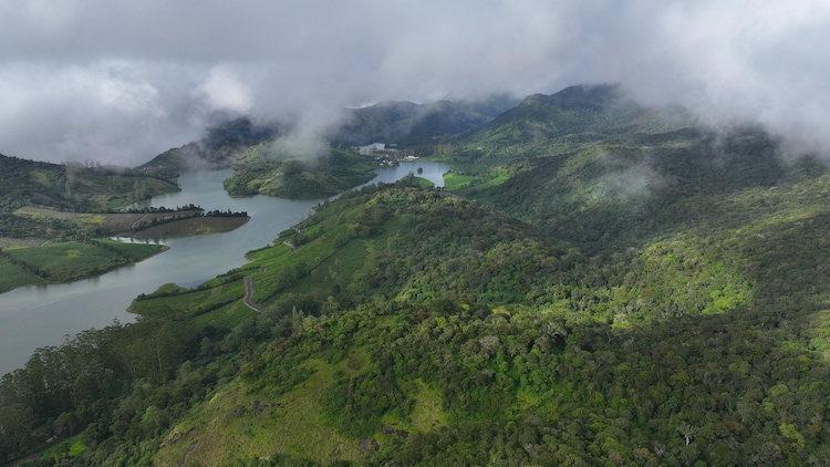 An aerial view of the Nilgiris. (Photo: X/@supriyasahuias)