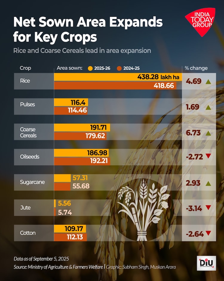 According to the latest government data, the net sown area for kharif rice has increased by 4.7 per cent this year.