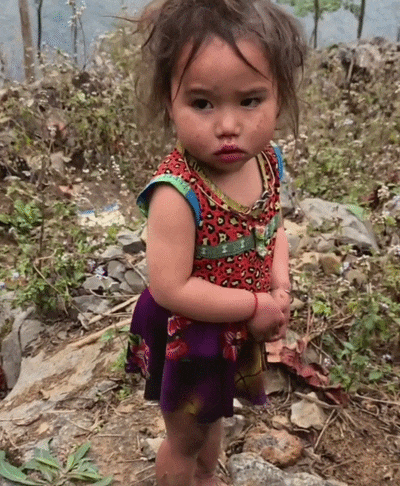 GIF 3