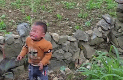 GIF 4