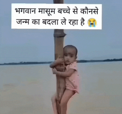 GIF 6