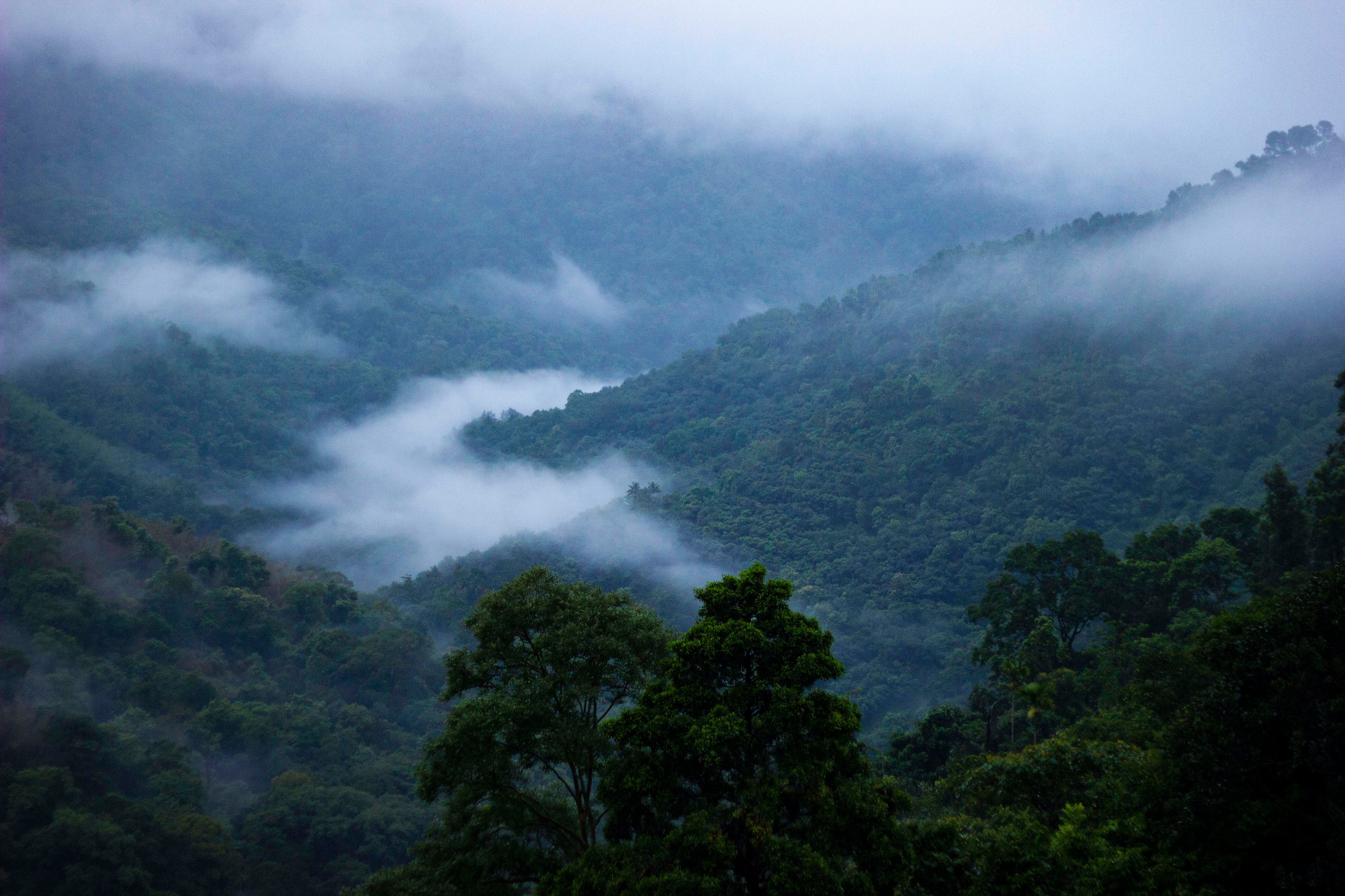 A scenic view of the Nilgiris against the sky. (Photo: Getty)