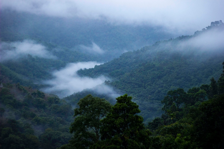 A scenic view of the Nilgiris against the sky. (Photo: Getty)