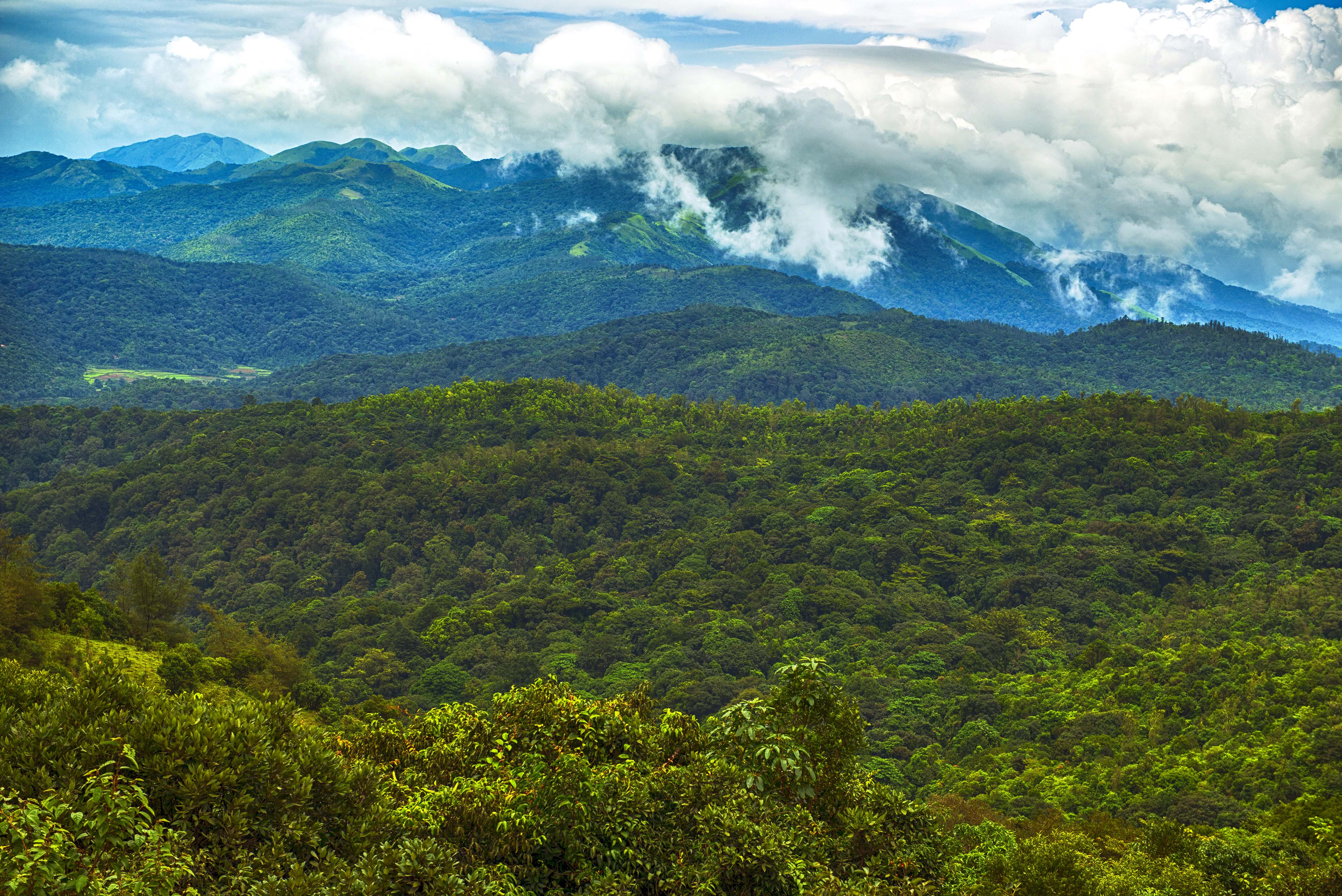 A view of the Nilgiris hills is seen. (Photo: Getty)