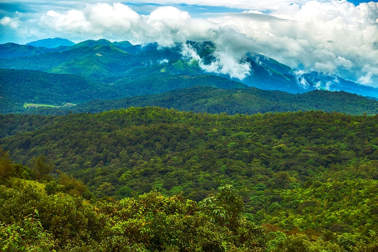 A view of the Nilgiris hills is seen. (Photo: Getty)