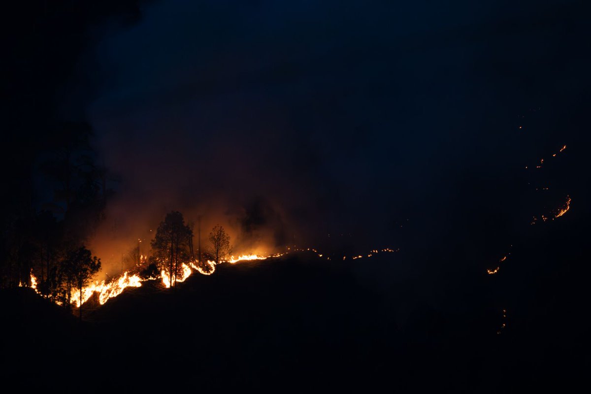 An image of a forest fire in Himachal Pradesh. (Photo: X/@hridayeshjoshi)