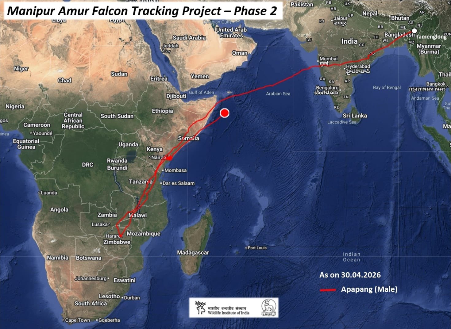 A satellite image showing the trajectory of one of the 3 tagged Amur falcons. (Photo: X/@supriyasahuias)