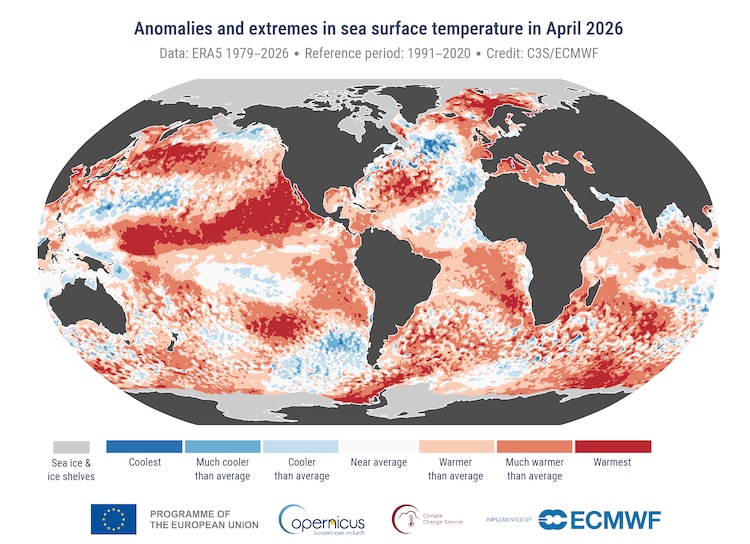 An illustration showing extreme sea surface temperatures in 2026. (Photo: ECMWF)