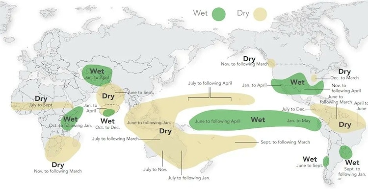 An illustration showing El Nino's regional impact on percipitation. (Photo: