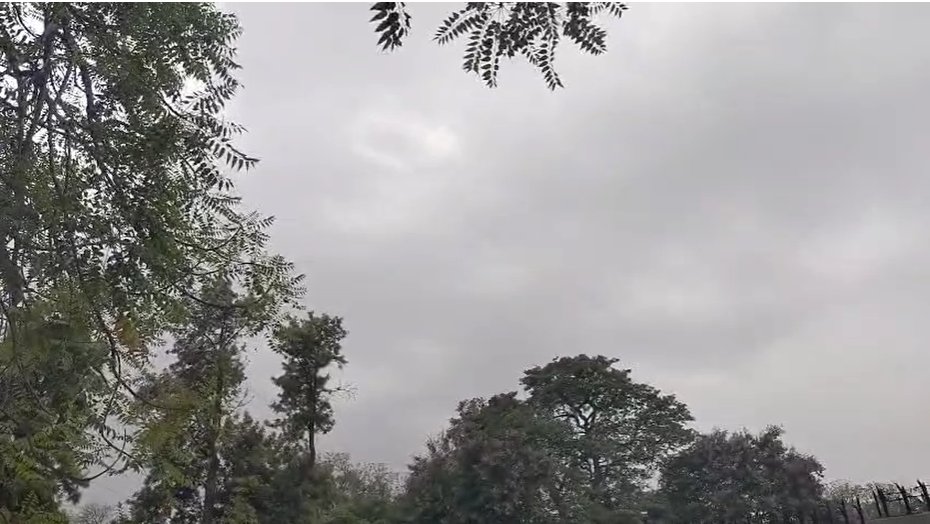 Overcast skies are seen in Delhi on June 11 morning. (Photo: X/@bsf_l)