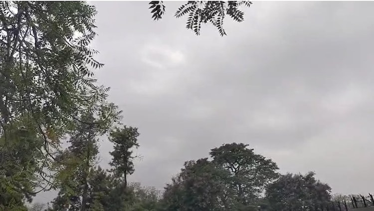 Overcast skies are seen in Delhi on June 11 morning. (Photo: X/@bsf_l)