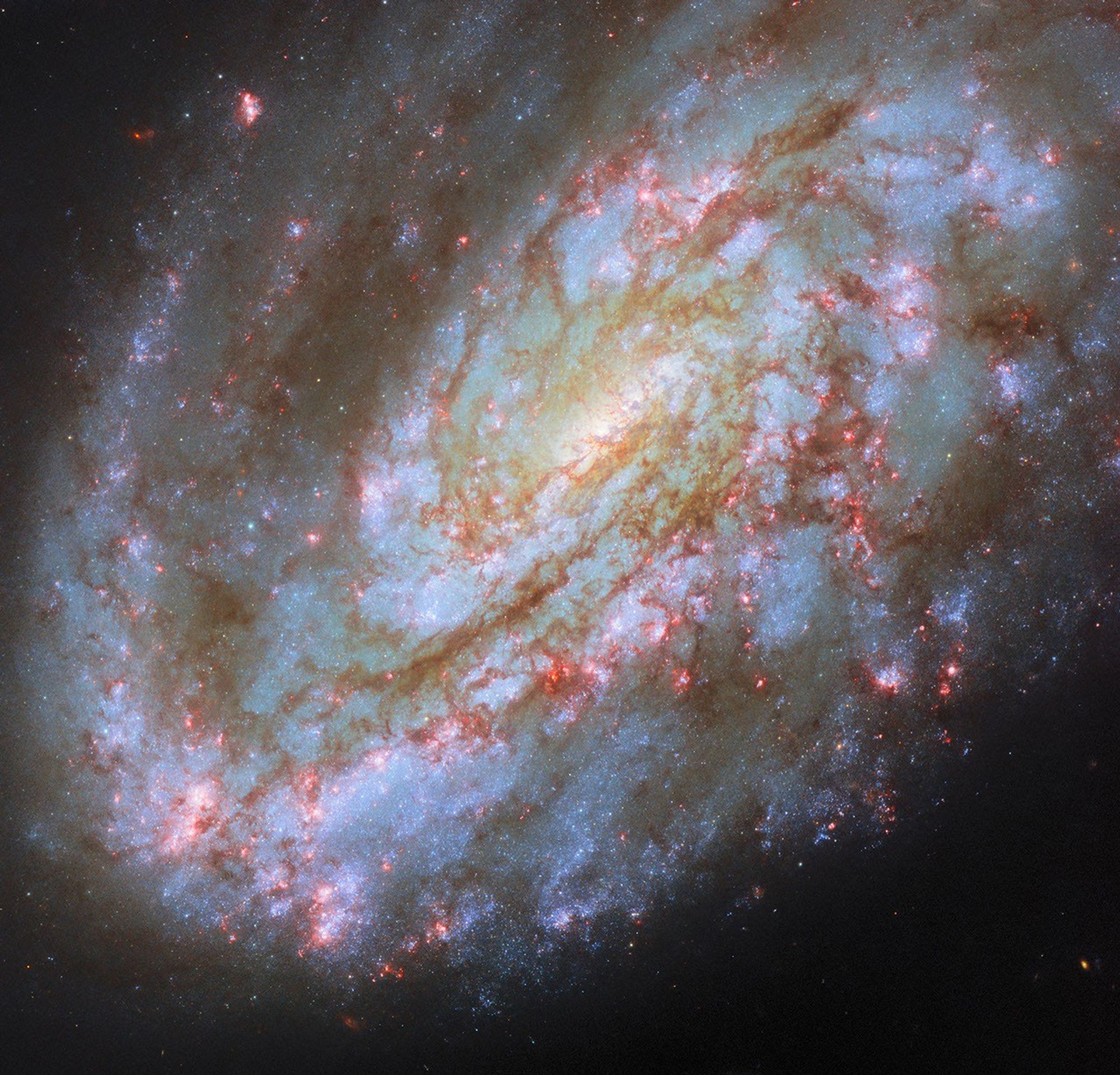 An image of the galaxy NGC 4654 captured by the Hubble Telescope. (Photo: Nasa)