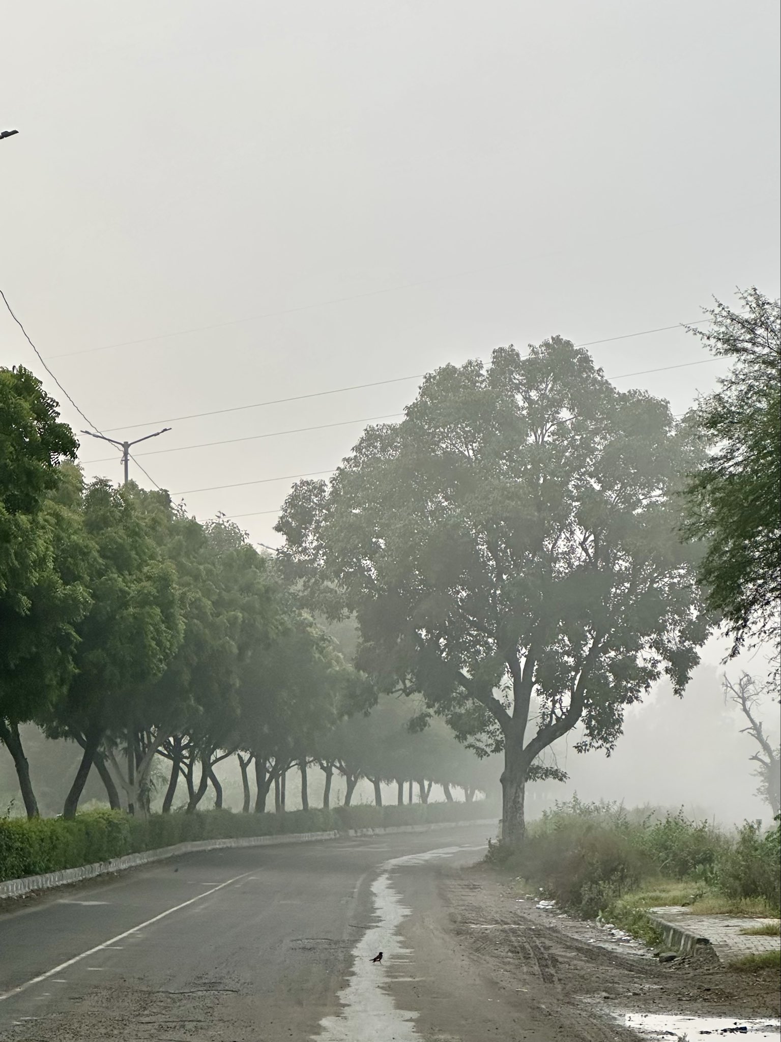 An image of a street in New Delhi surrouded by haze. (Photo: X/@ashprudit)