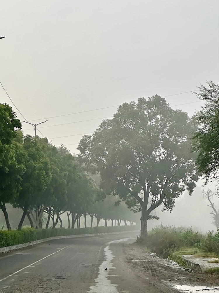 An image of a street in New Delhi surrouded by haze. (Photo: X/@ashprudit)