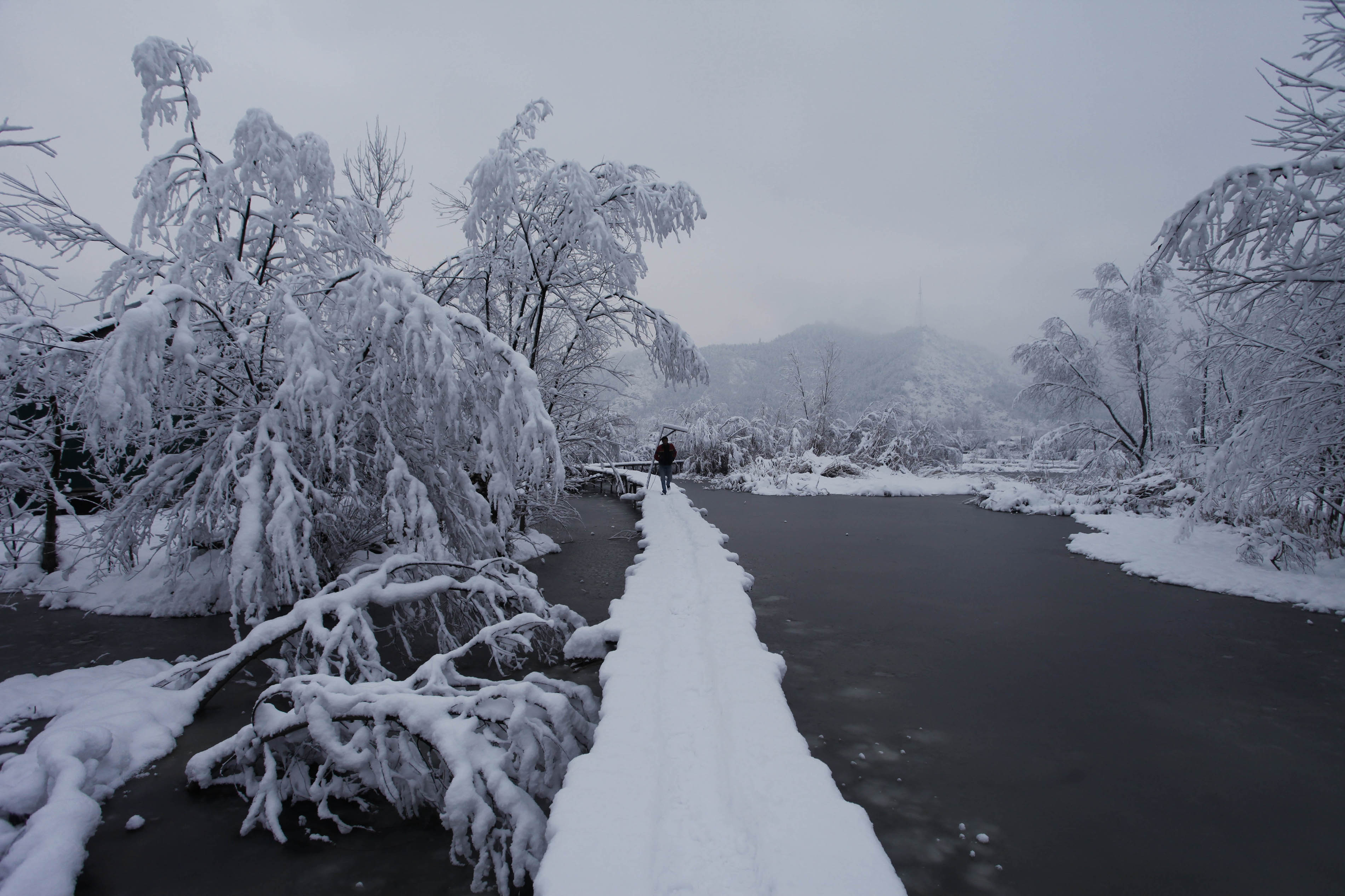 Winter is coming! These places in India are currently witnessing snowfall. Have a look