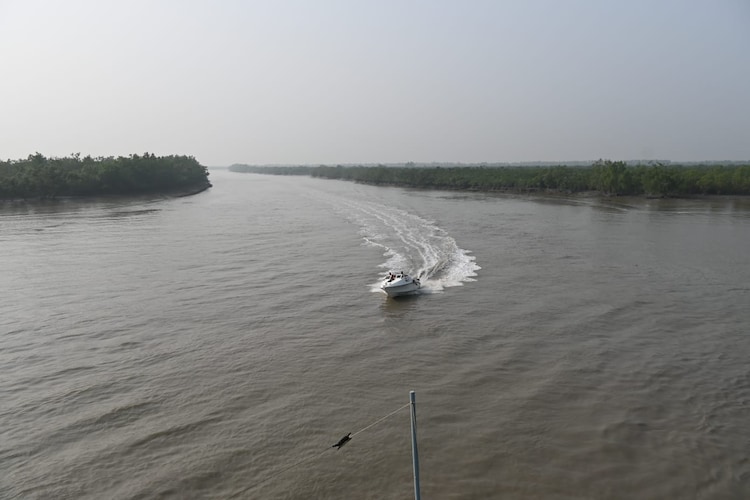 Sundarbans