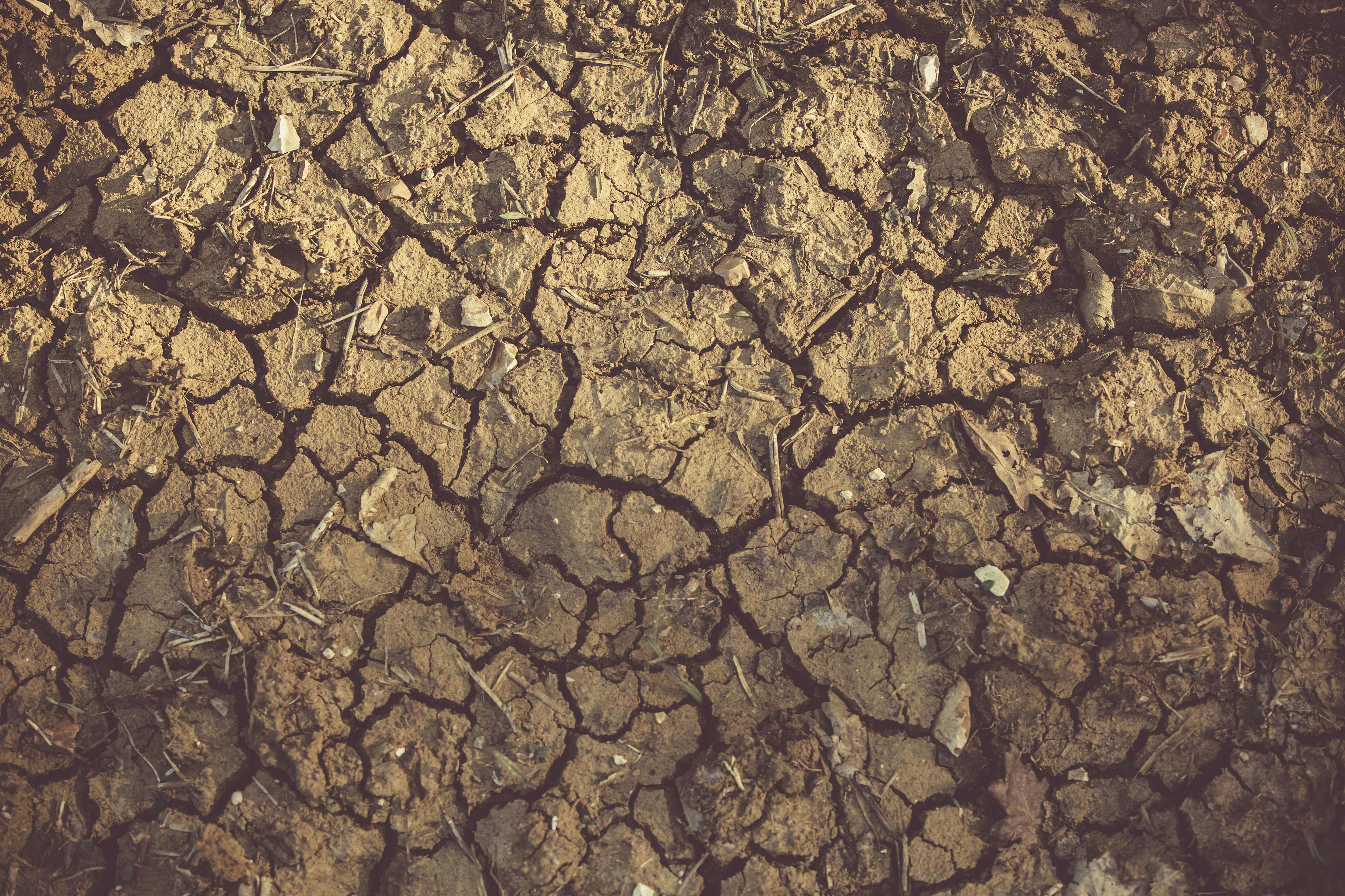 Close-up of cracked, arid soil due to a drought, illustrating El Nino impacts. (Photo: Pexels)