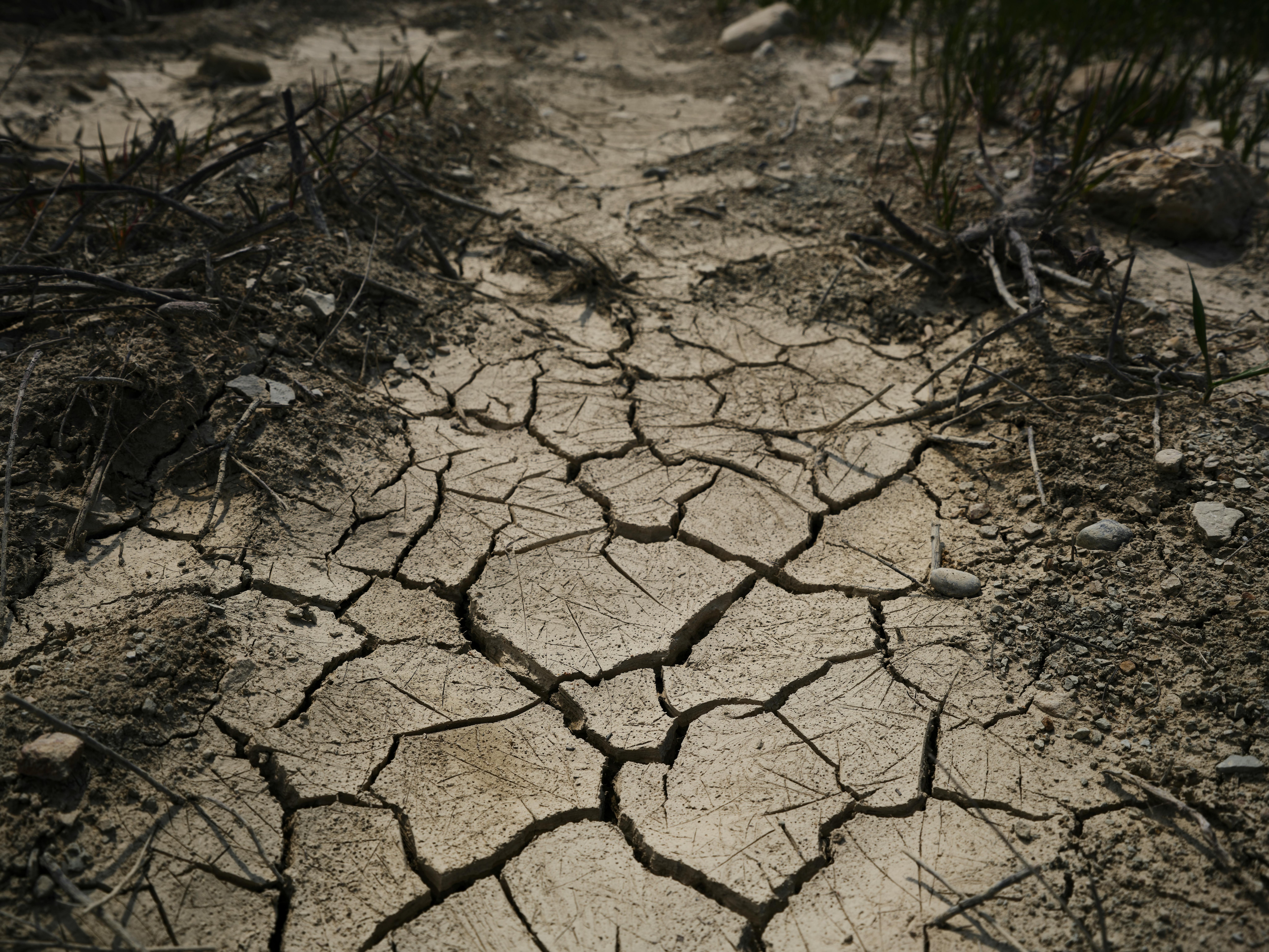 A close-up of a dried, cracked land depicting drought. (Photo: Pexels)