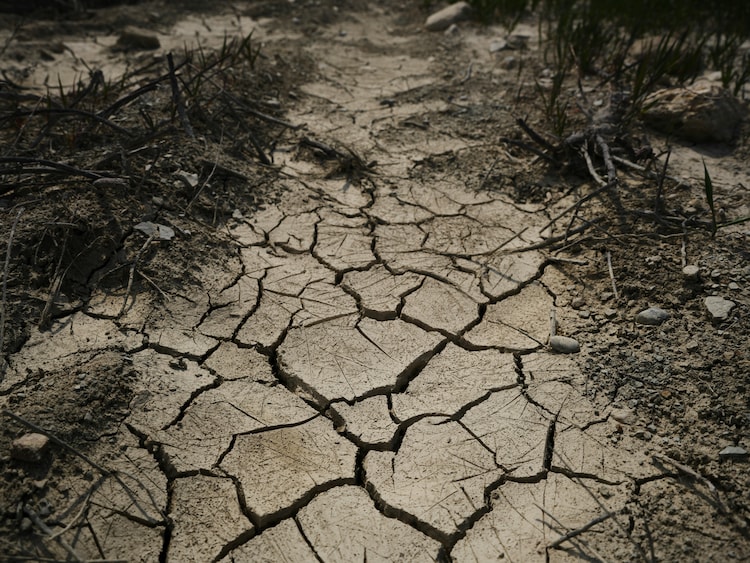 A close-up of a dried, cracked land depicting drought. (Photo: Pexels)